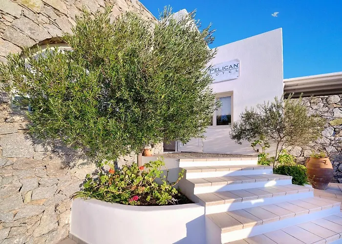 PelicanAlbergo